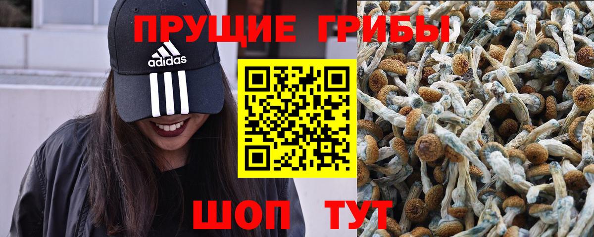 Псилоцибиновые грибы мухоморы  Вход с VPN  Миллерово 